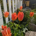 Slaegtsgaarden Allinge-Sandvig