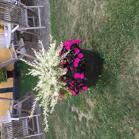 Konukevi Slaegtsgaarden