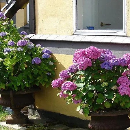 Slaegtsgaarden Allinge-Sandvig